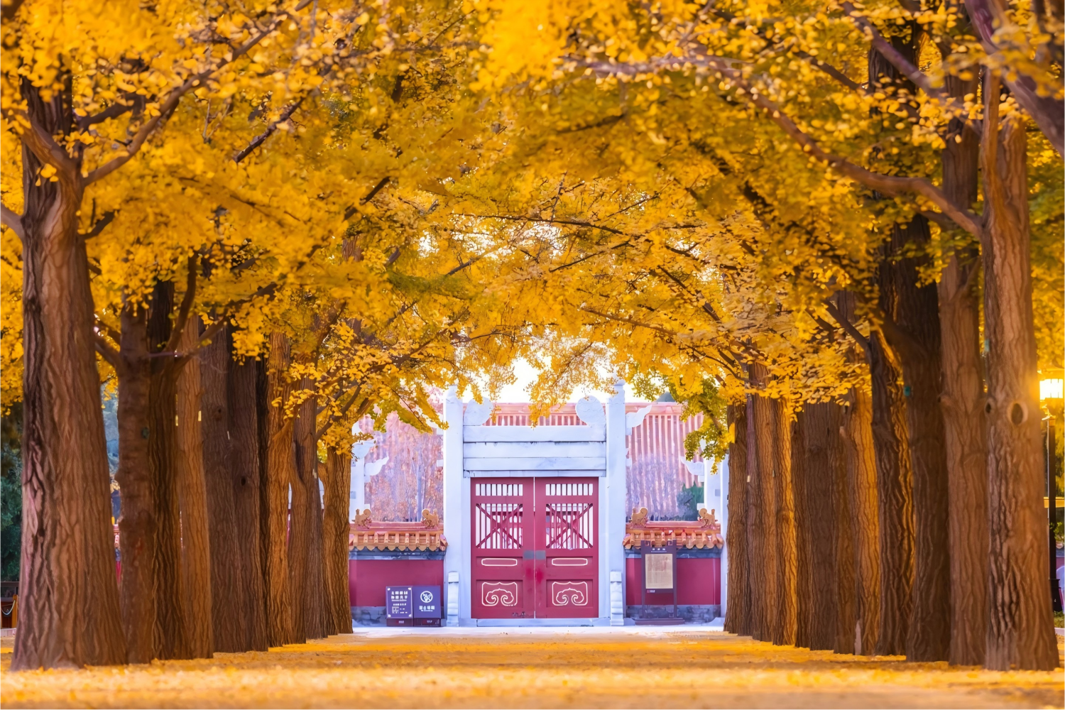 Temple of Heaven, Lama Temple, Confucius Temple