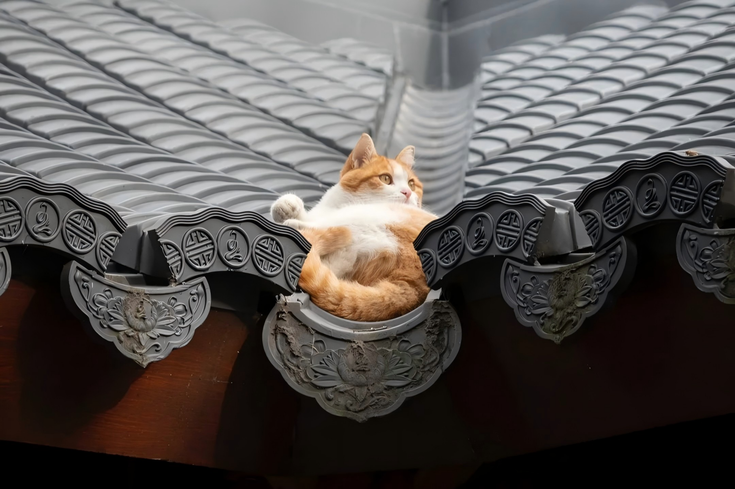 The Bund, Yu Garden, Silk Workshop, The Former French Concession