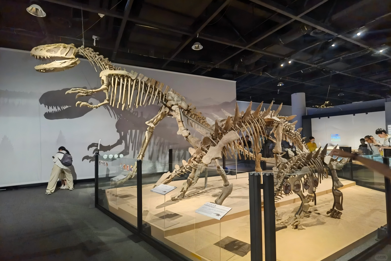 Shanghai Natural History Museum, Shanghai Urban Planning Exhibition Hall