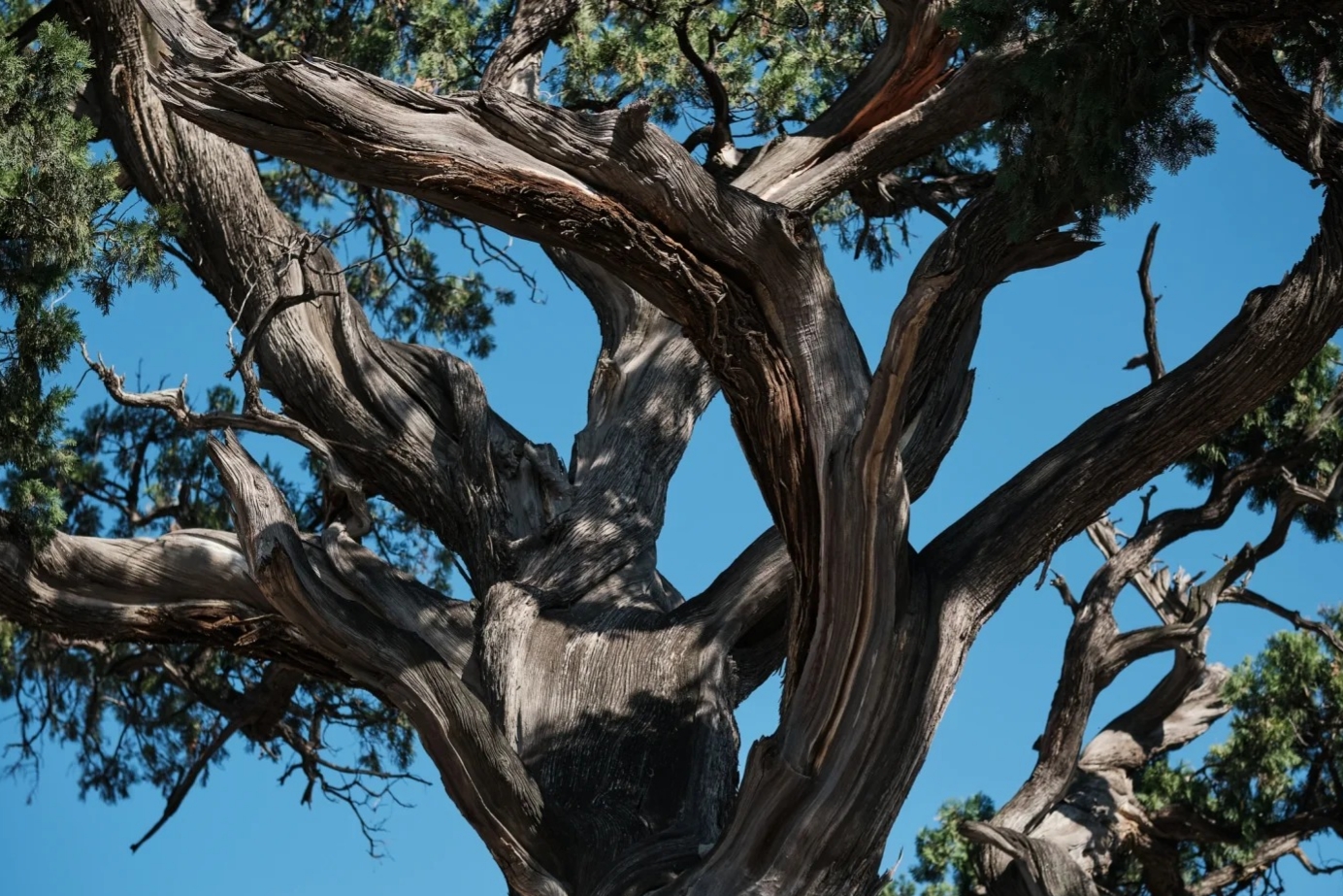 Guangsheng Temple & Xiaoxitian Temple