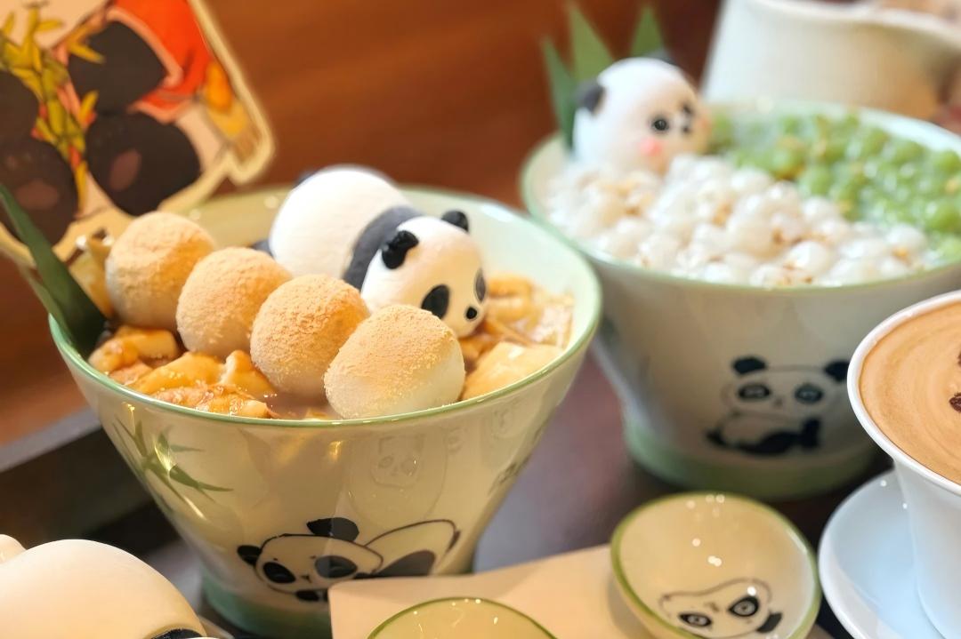 Chengdu | Meet Pandas and Chengduers