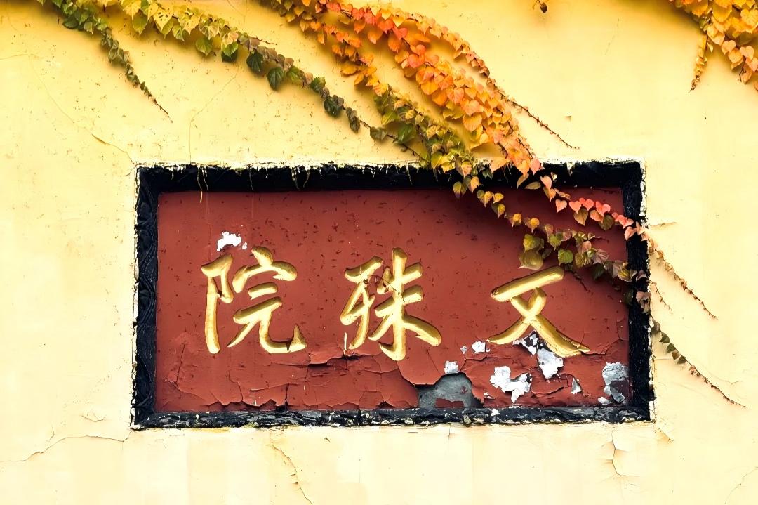 Chengdu, Giant Panda