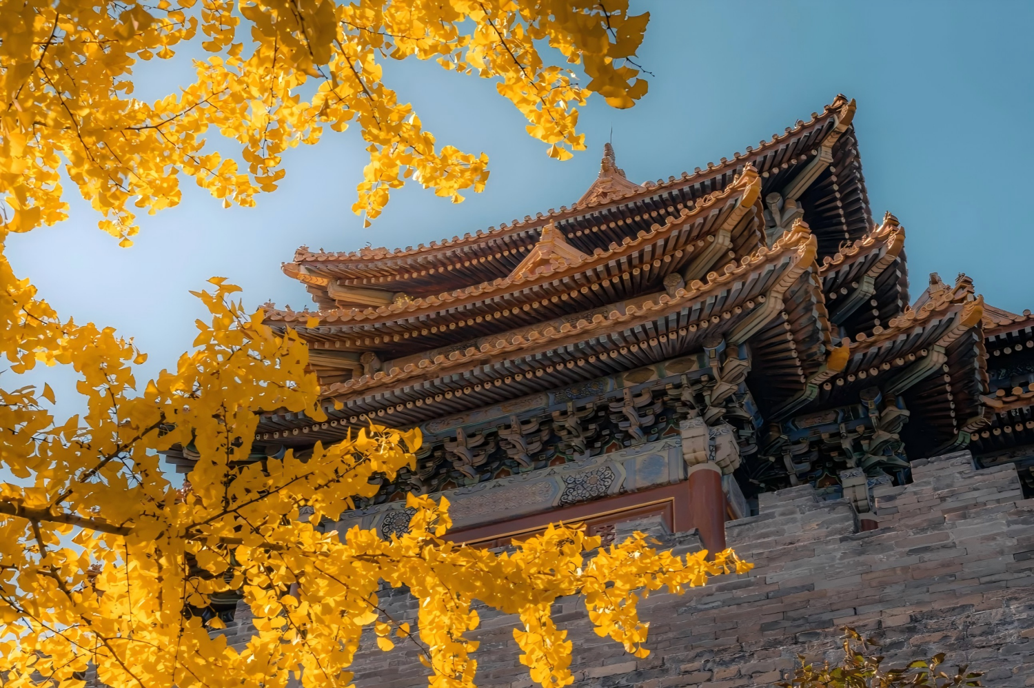 Fragrant Hills Park, Beijing Botanical Garden