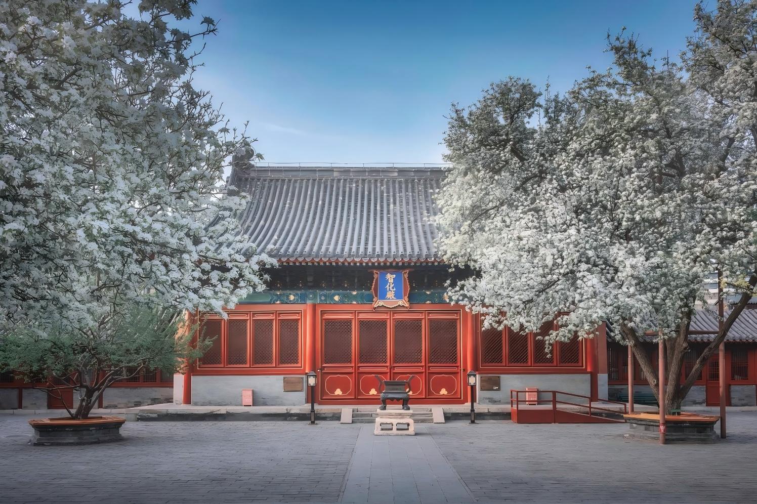Vegetarian Lunch, Lama Temple