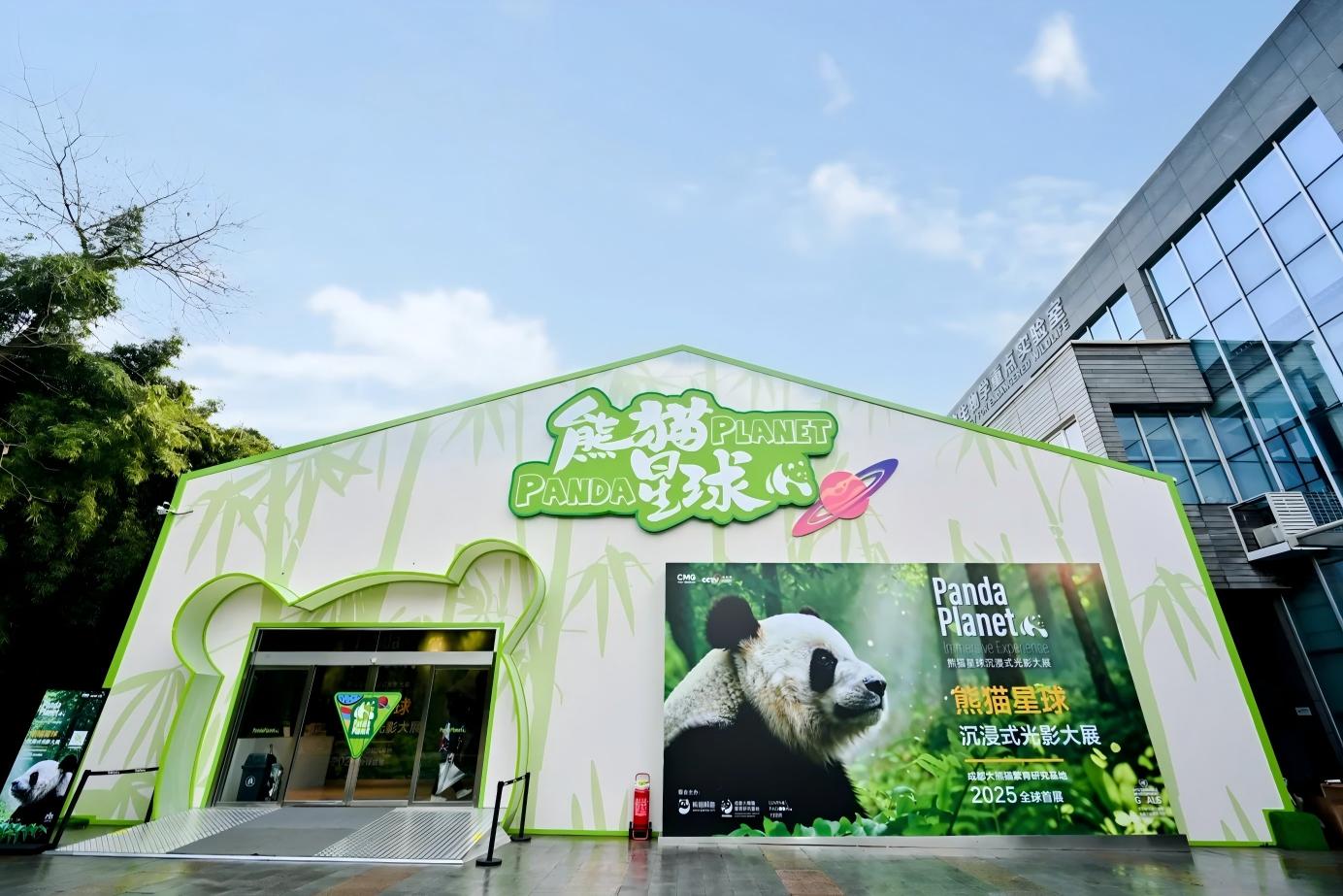 Chengdu, Panda Volunteer