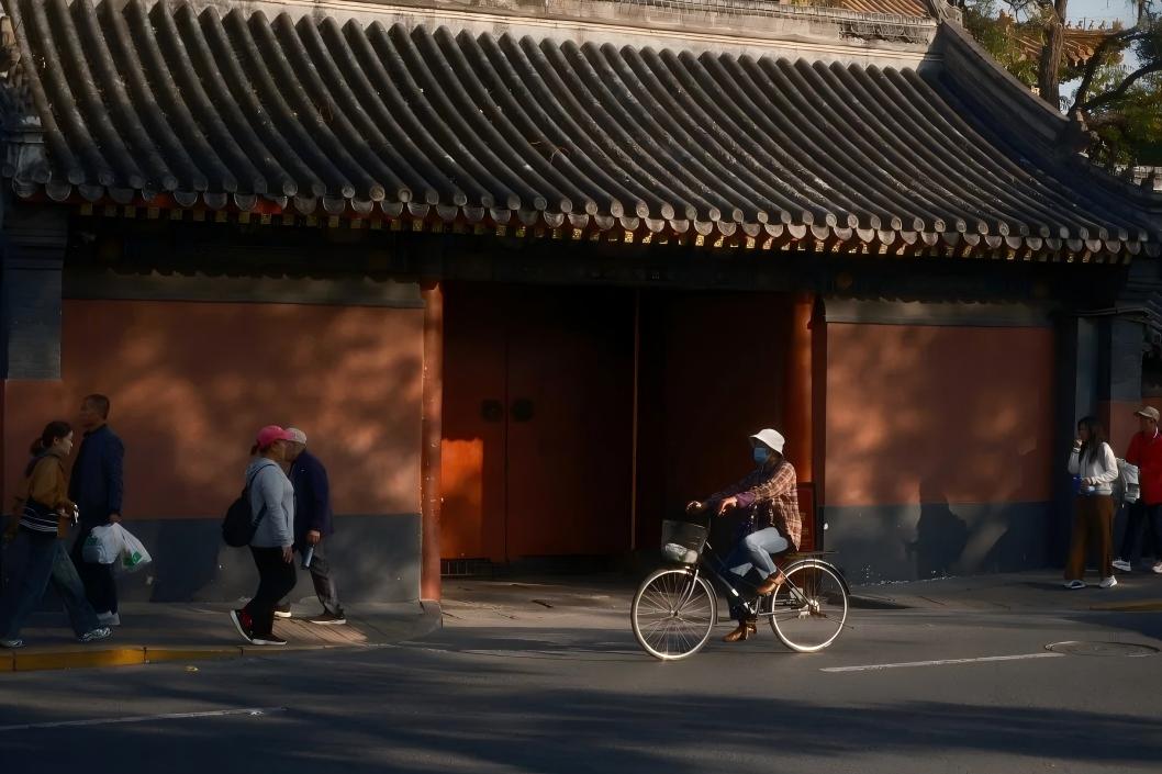 Vegetarian Lunch, Lama Temple