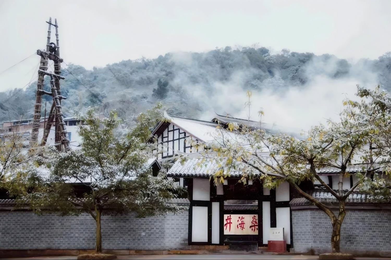 Chengdu - Zigong, Zigong Dinosaur Museum and Shenhai Well