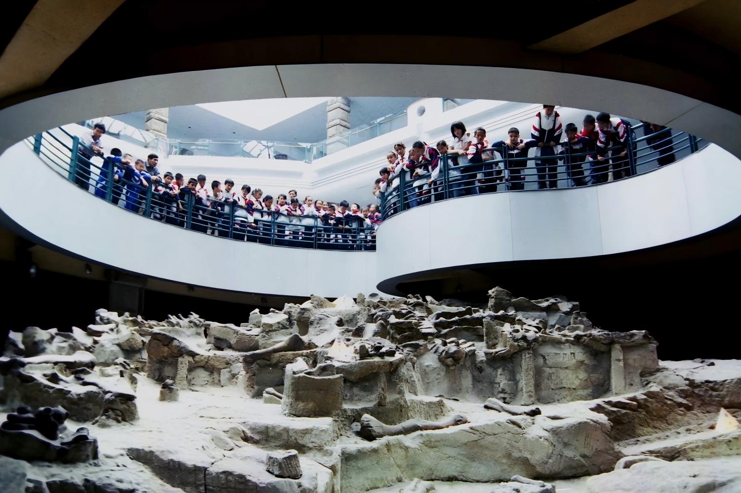 Chengdu - Zigong, Zigong Dinosaur Museum and Shenhai Well