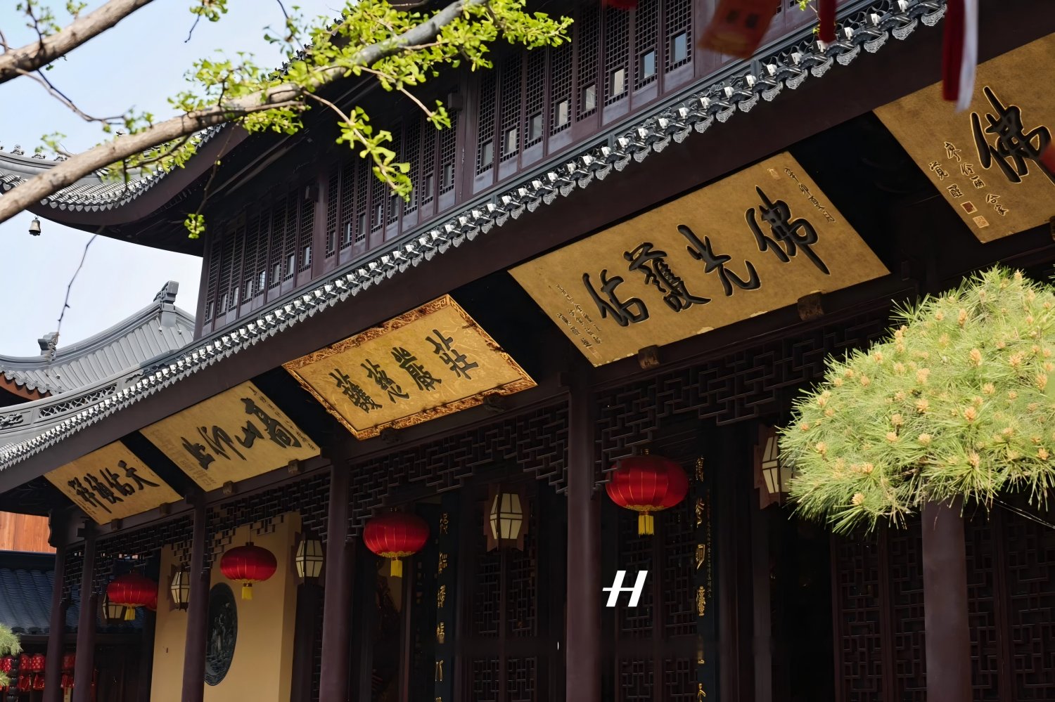Lost Plate Food Tour, Jade Buddha Temple, Shanghai Museum