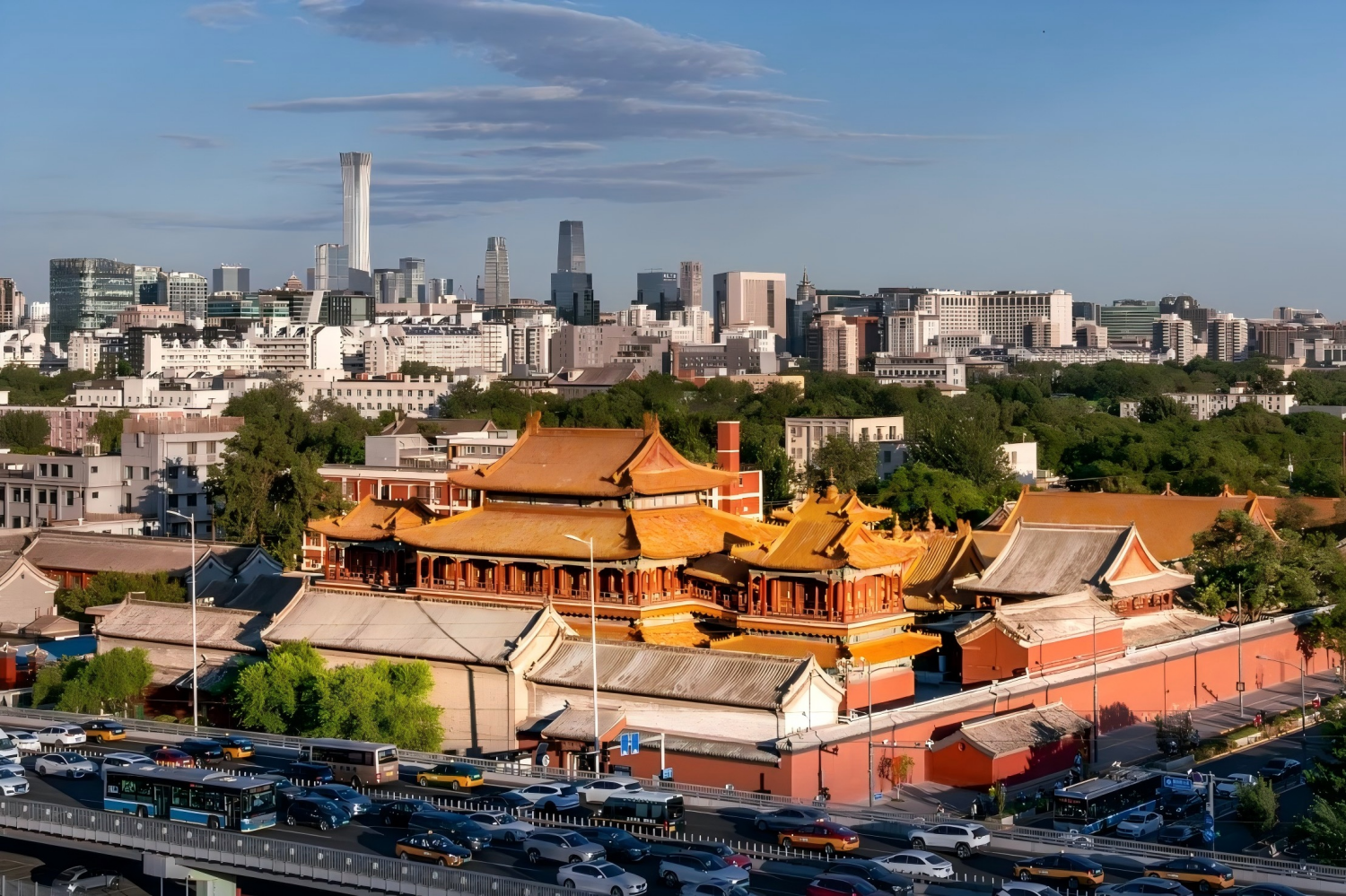 Vegetarian Lunch, Lama Temple
