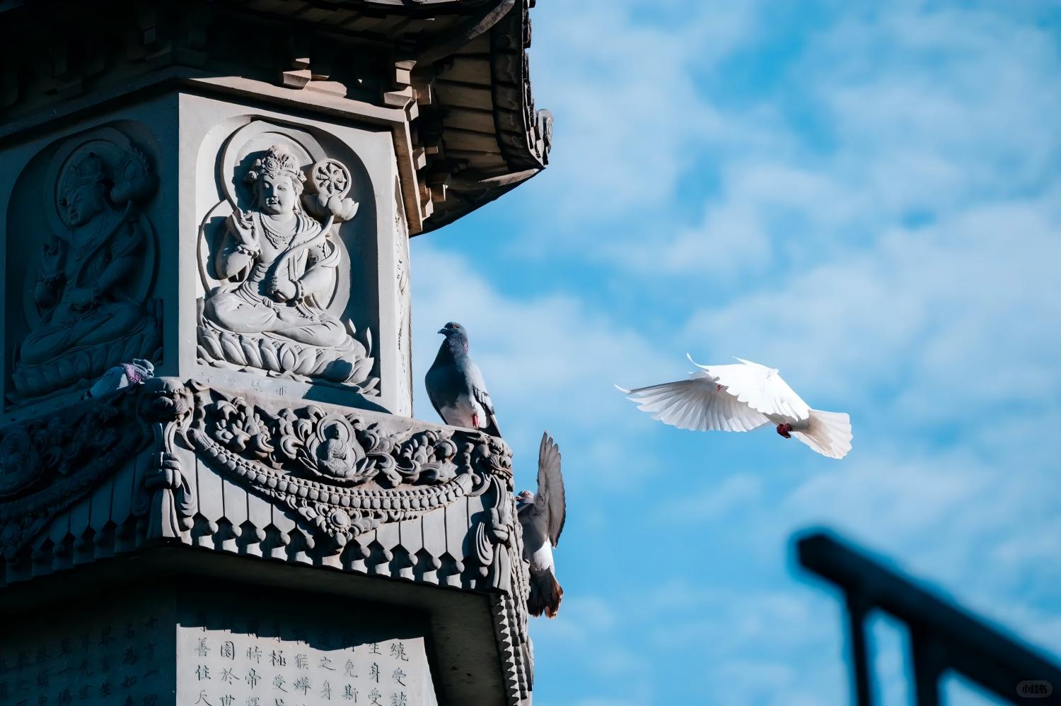 Depart from Shanghai