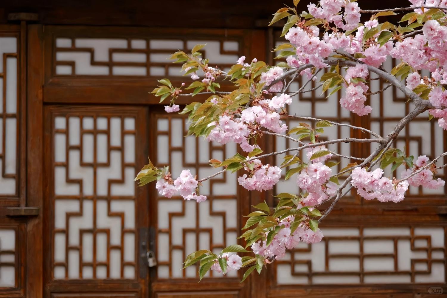 The Summer Palace and a High-Speed Train to Xi'an