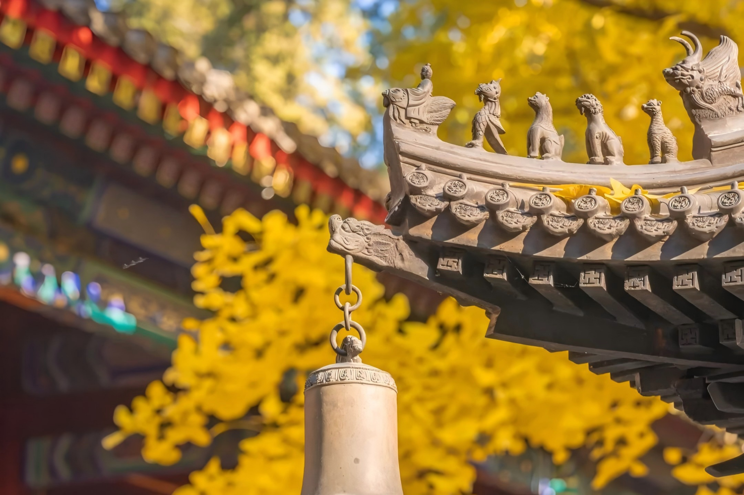 The Summer Palace and a High-Speed Train to Xi'an