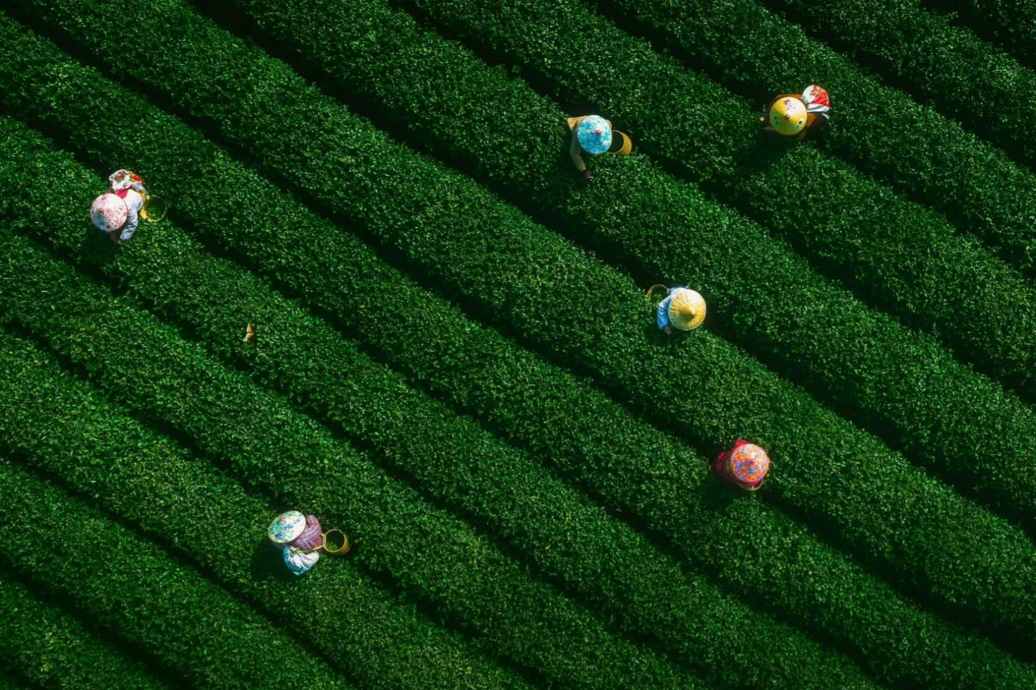 Hangzhou to Shanghai | Departure