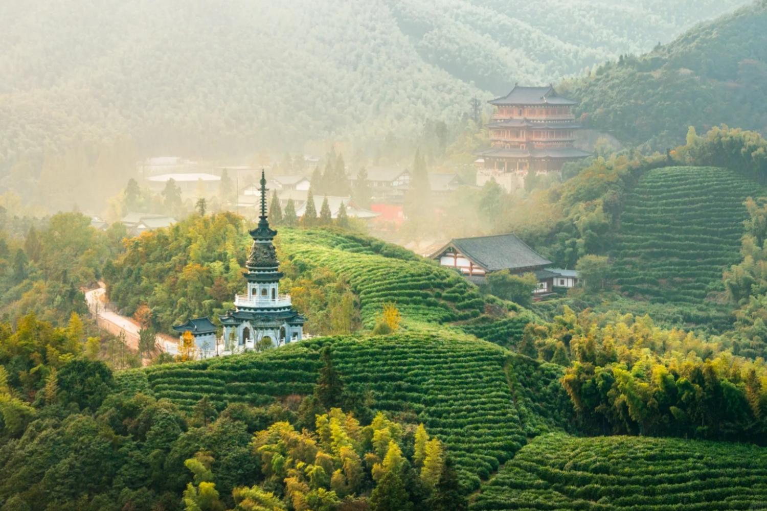 Suzhou to Hangzhou | From Sacred Hills to Artistic Traditions