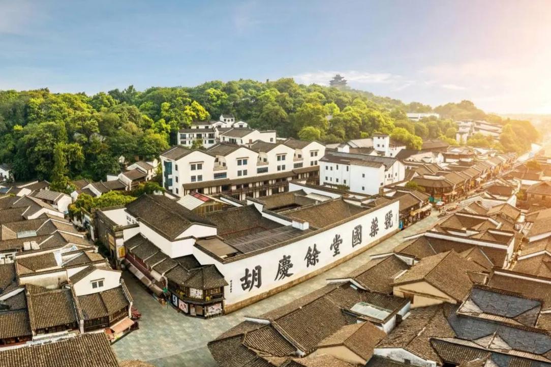 Six Harmonies Pagoda, Museum of Traditional Chinese Medicine, Departure