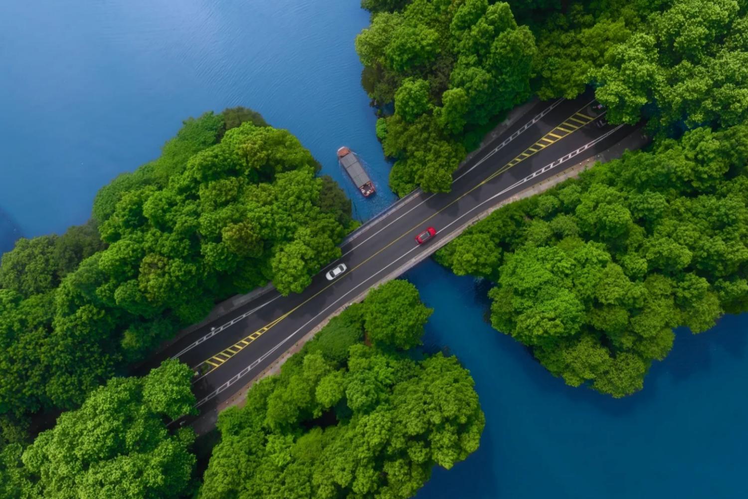 Dragon Well Tea Plantation, Six Harmonies Pagoda, Departure