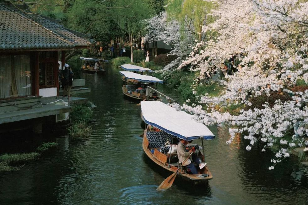 Arrival, Boat Tour on the West Lake, Lingyin Temple, Fei Lai Feng, Dragon Well Tea Plantation