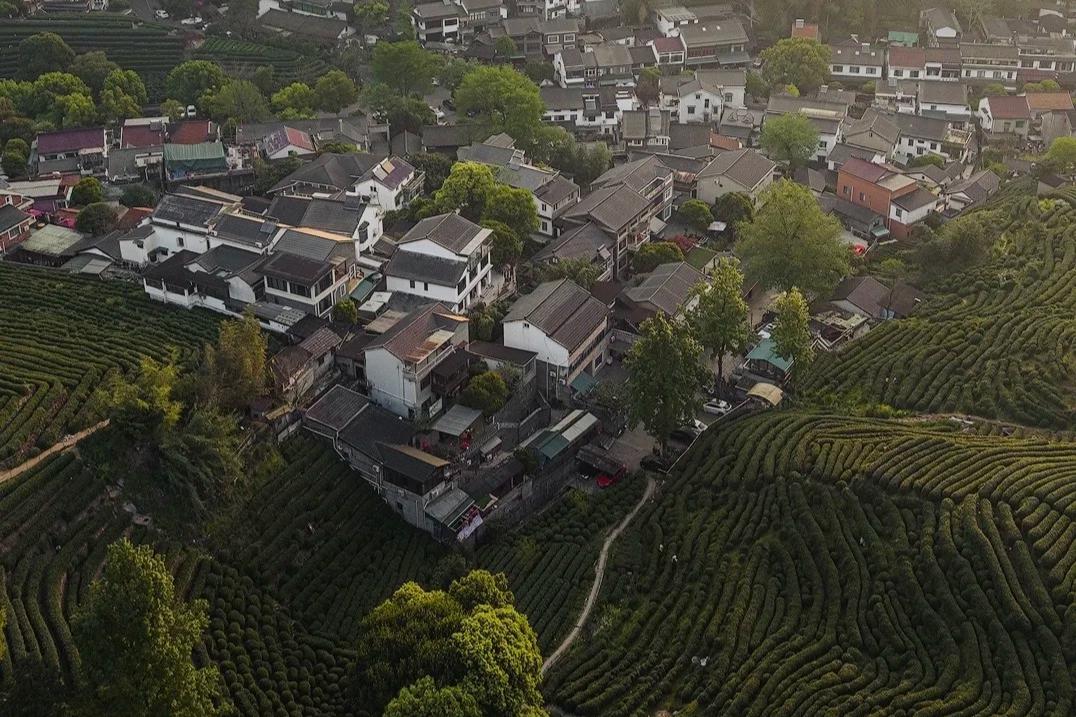 Huangshan to Hangzhou | Natural & Cultural Harmony