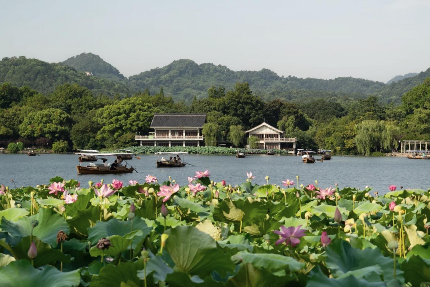 West Lake Boat Ride, Lingyin Temple, Fei Lai Feng, China National Silk Museum, Museum of Traditional Chinese Medicine
