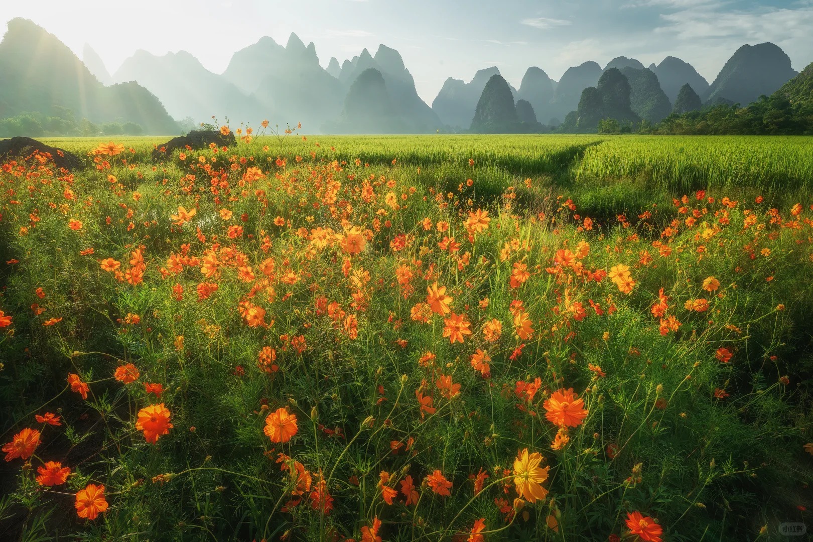 Zhangjiajie to Changsha to Guilin