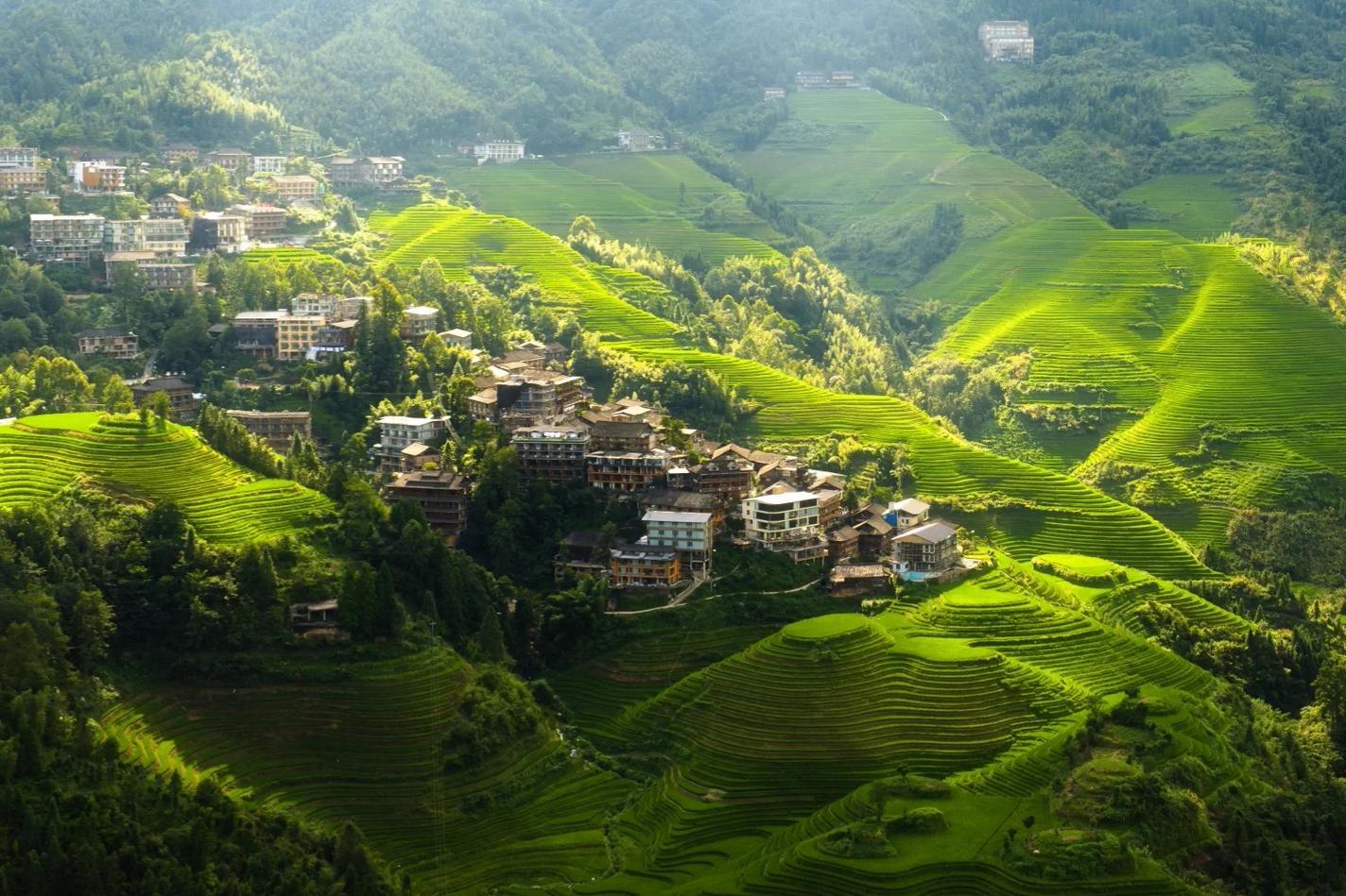 Longji Terraced Rice Fields and Ethnic Minority Culture