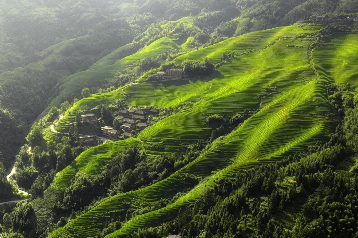 Longji Terraced Rice Fields and Ethnic Minority Culture