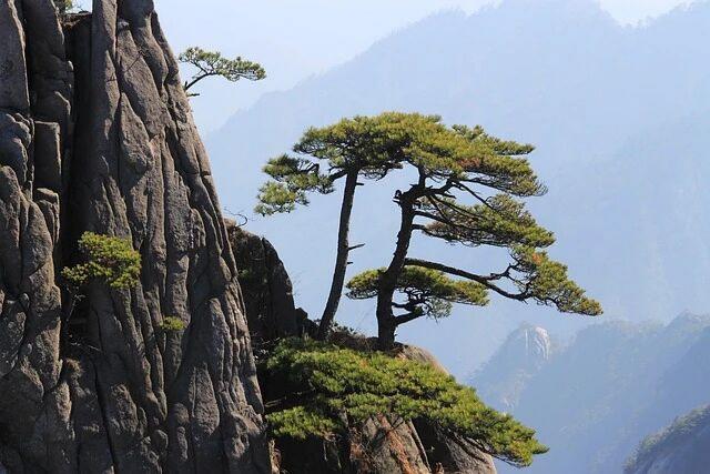Huangshan Expedition