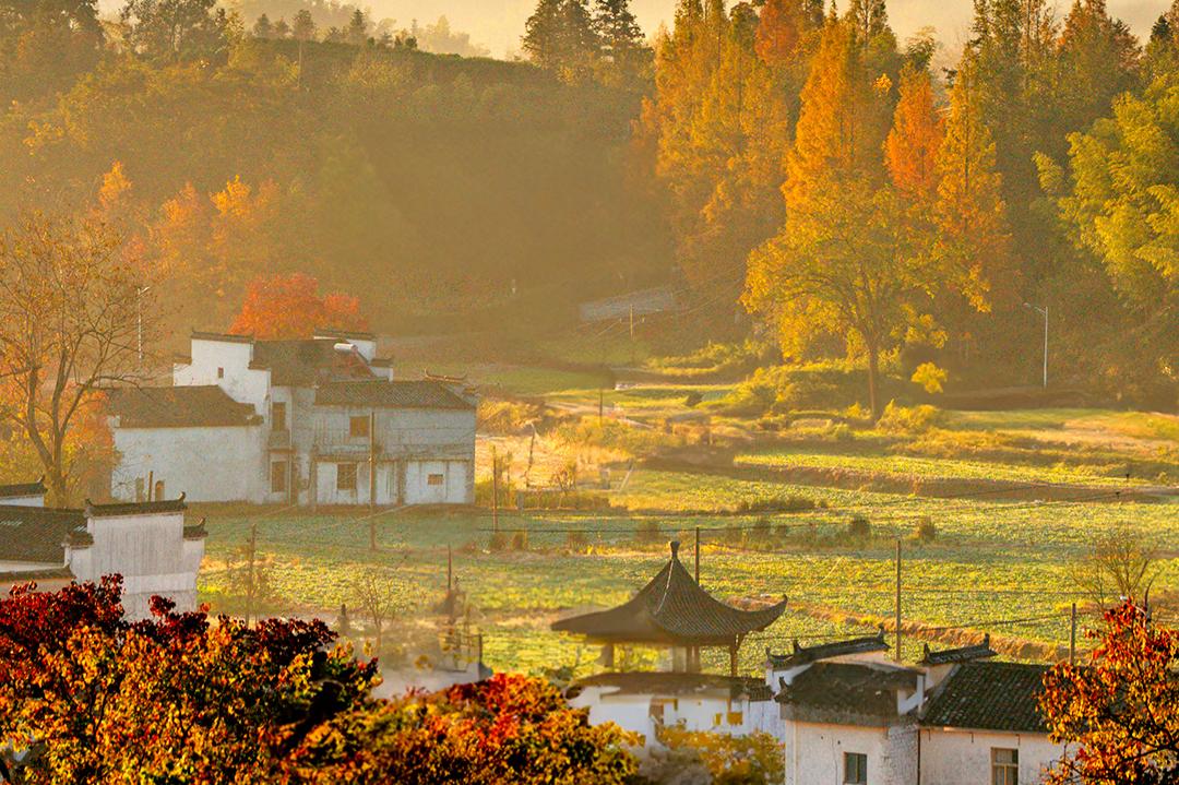 Hongcun Village, Nanping Ancient Village, Experience Huizhou Life