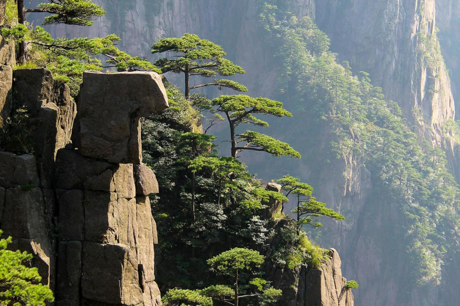 Huangshan Scenic Area
