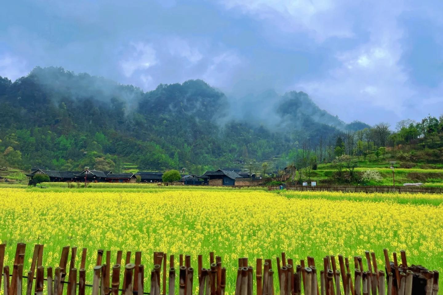 Golden Whip Stream Hiking, Huangshi Village