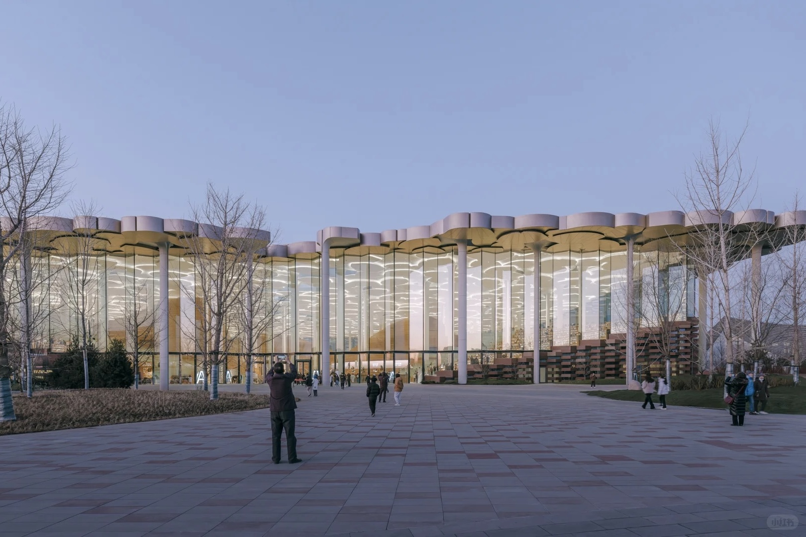 Self-Driving Tech and Beijing City Library