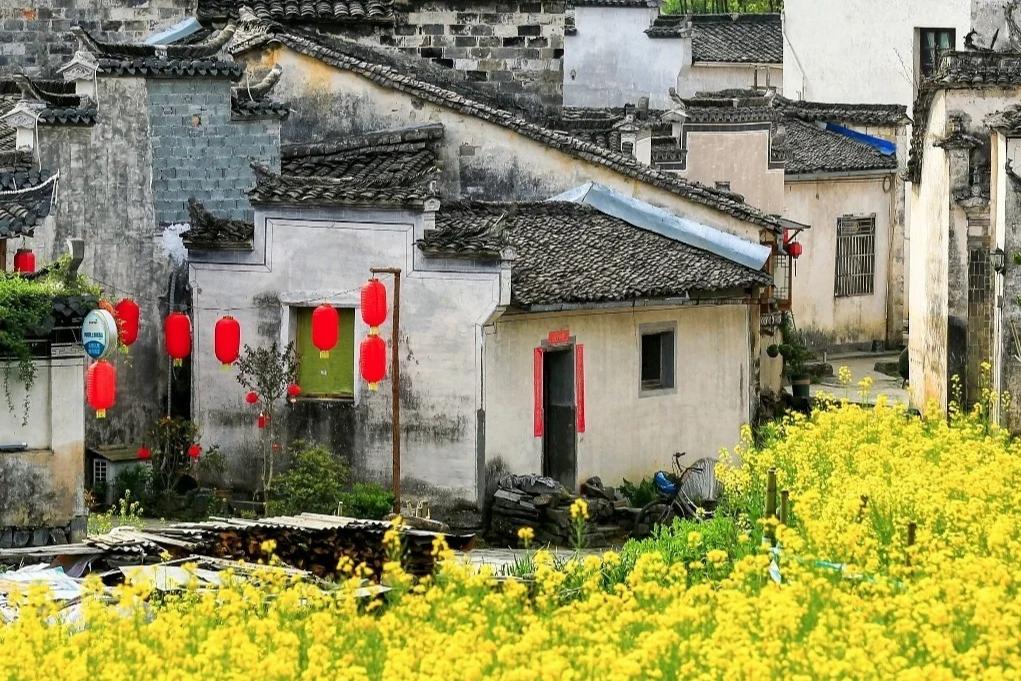 Huangshan | Modern Utopia